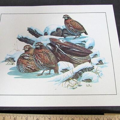 Vintage 1970s Quail Litho, USA 11"x14"`