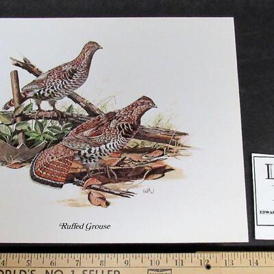 Vintage 1970s USA Litho, Ruffled Grouse, 11"x14"