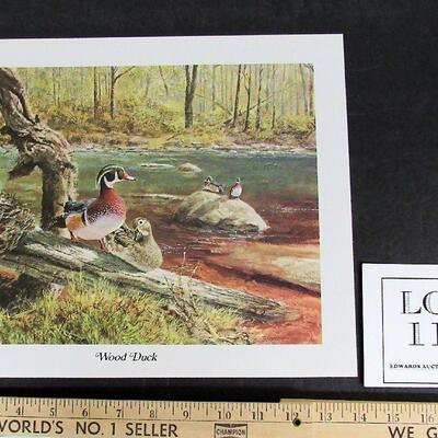 Vintage 1970s Litho, Wood Duck, 11"x14"`