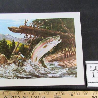 Vintage 1970s Litho, Trout, 11"x14"