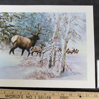 Vintage 1970s Litho, Elk, 11"x14"