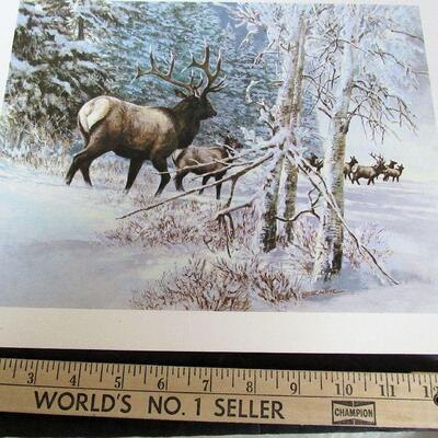 Vintage 1970s Litho, Elk, 11"x14"