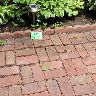 3 Pc Solar Patio Lights