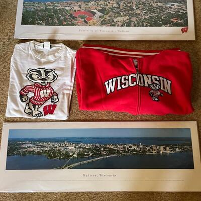 Wisconsin and Wisconsin Badgers lot