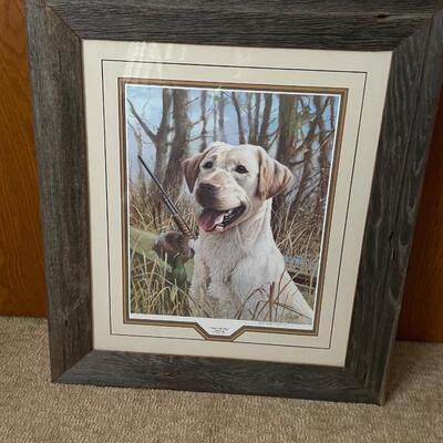 Yellow Lab print with frame