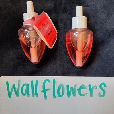 Air Freshener Plug Ins