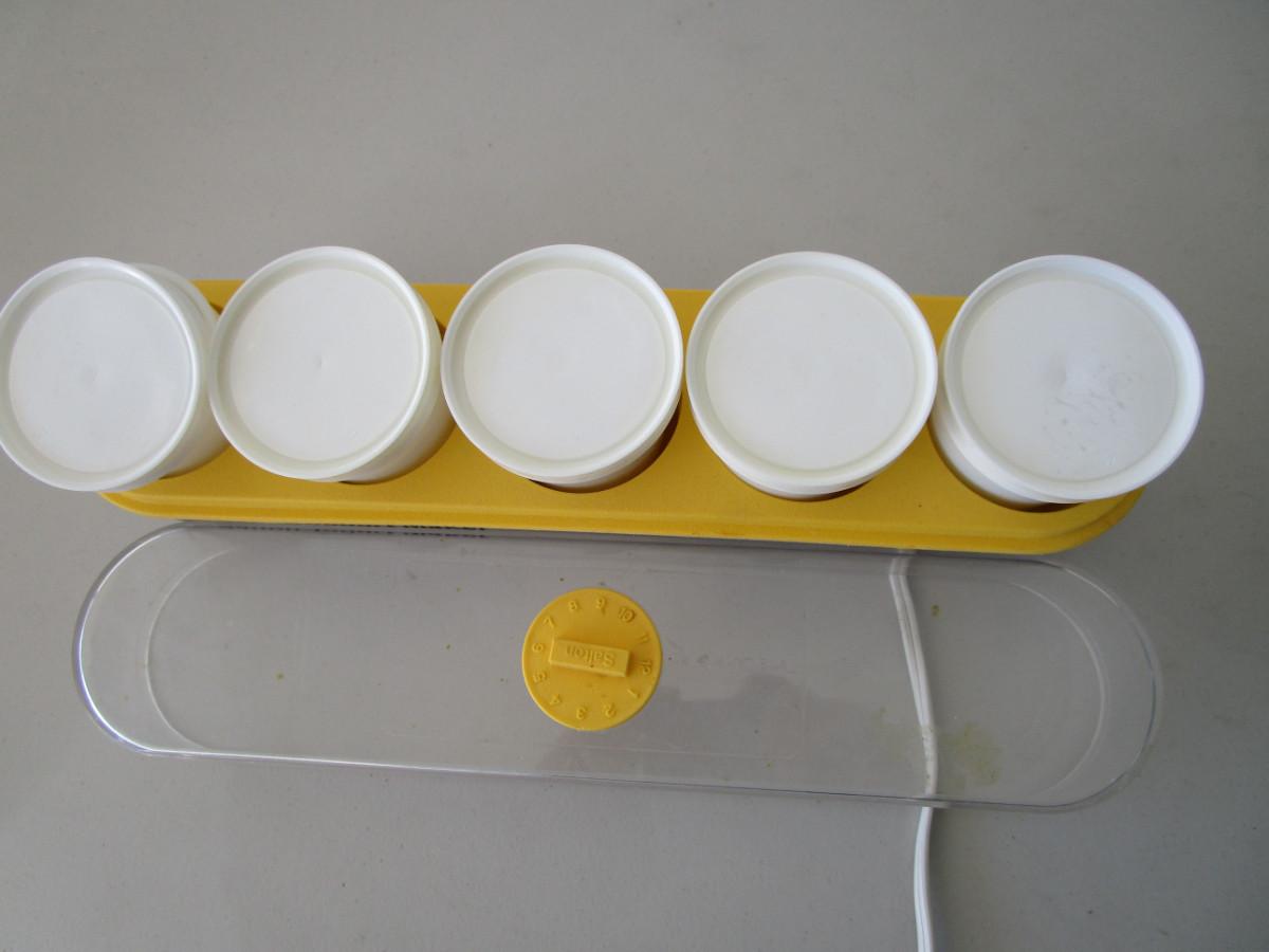 32 Salton Yogurt maker