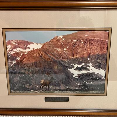 Framed art