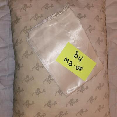My pillow and pillow case.