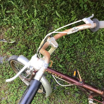 1063 Raleigh Folder 20â€ Folding Bicycle Brown