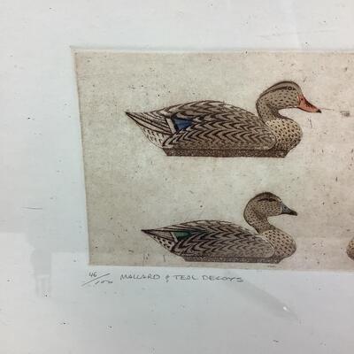 1006 Sandy Scott Hand Colored Copperplate Etching on French Rag Paper of Mallards & Teal Decoys - Signed & Numbered 46/100
