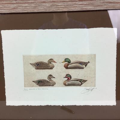 1006 Sandy Scott Hand Colored Copperplate Etching on French Rag Paper of Mallards & Teal Decoys - Signed & Numbered 46/100