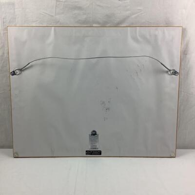 1010 Marc Castelli 2011 Circles/Sultana 10th Anniversary Gilcee Print - Signed & Numbered 16/150