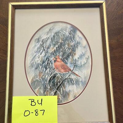 Cardinal Picture