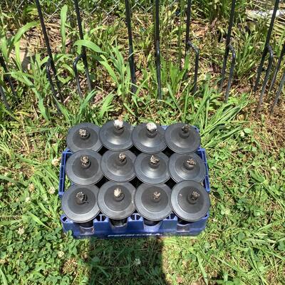 1013 Wrought Iron Tiki Torches