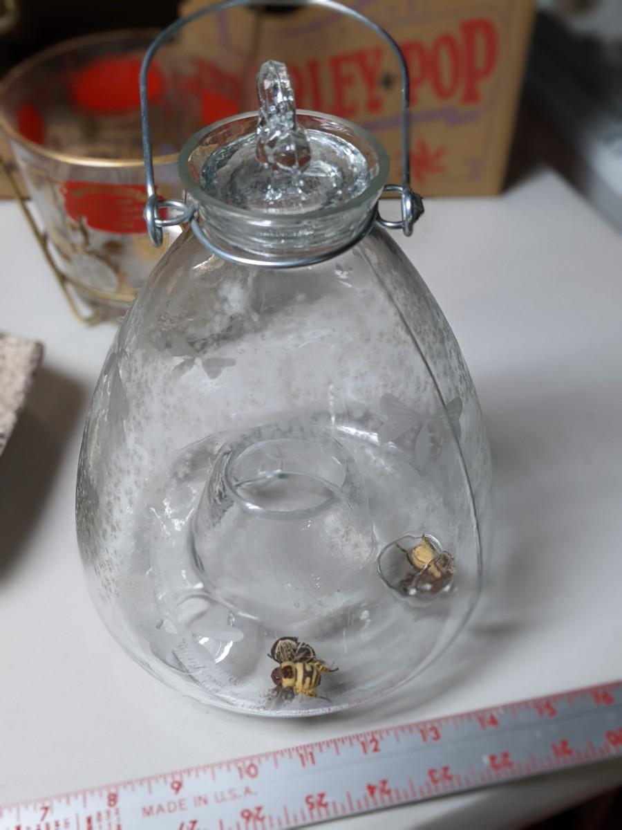 Glass Wasp/Bee Catcher