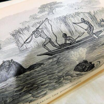 c.1869 Livingstone Explorations In Africa by Rev. Jewett Illustrated HB Antique Estate Book