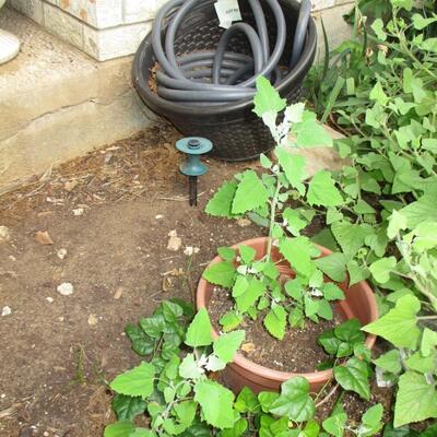 Water Hose & Container Holder/ Flower Pot