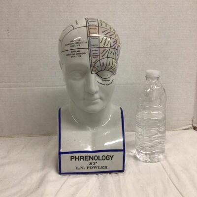 1110 Authentic Model Phrenology Head Decoration