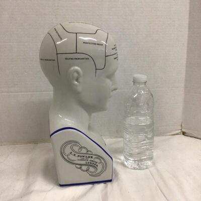 1110 Authentic Model Phrenology Head Decoration
