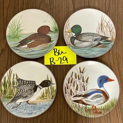 Duck Plates