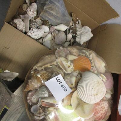 Shells, Moss
