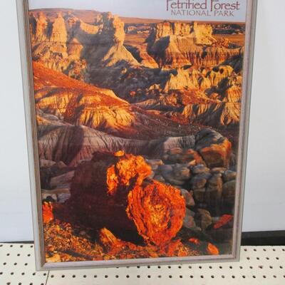 Petrified Forest National Park Framed Poster