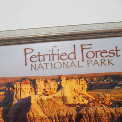 Petrified Forest National Park Framed Poster
