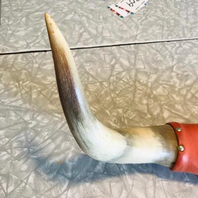 Cattle Horns mounted