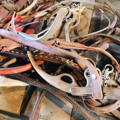 Lot of Horse Leather Bits, Bridals