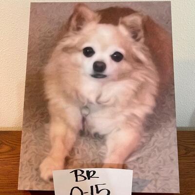Pomeranian Canvas Picture