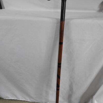 Cane or Walking Stick