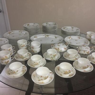 Haviland France-Decorated by Haviland & Co Limoges China 83 Pieces