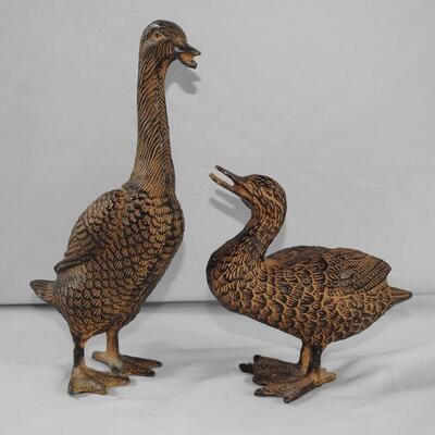 Pair of Ducks