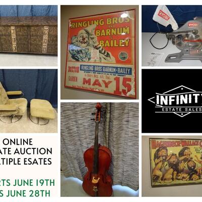 AUCTION GRAPHICS. DO NOT BID ON THIS ITEM