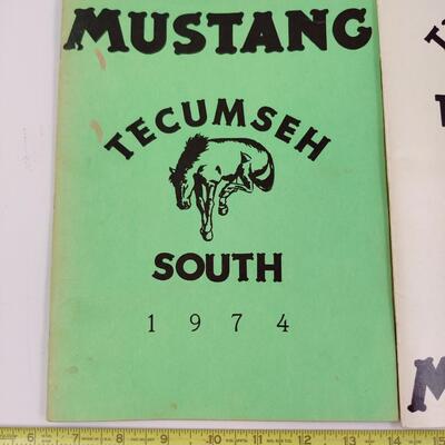 TECUMSEH SOUTH ELEMENTARY YEARBOOKS (1974 AND 1974-75)