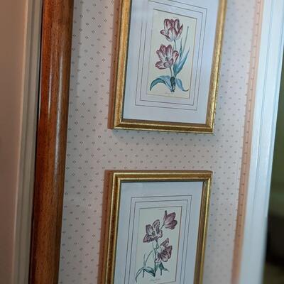 2 Nicely Framed Prints of Kaiser Leopold Tulips