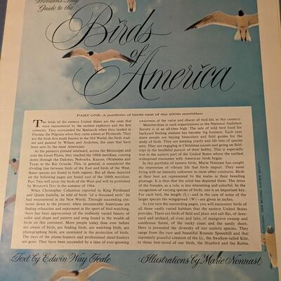 Birds of America, Beautiful Illustrations, Complete Set