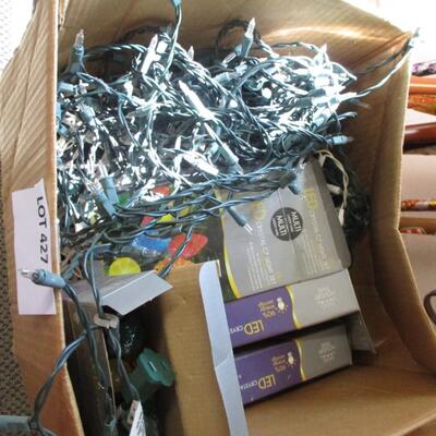 Box of Christmas lights