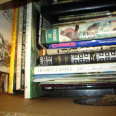 Several boxes of Books