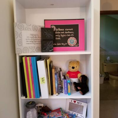 Contents of Bookshelf # 1