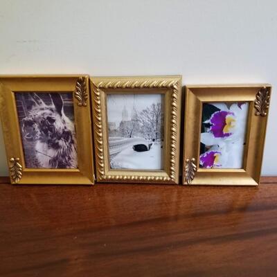 Small Framed Pictures