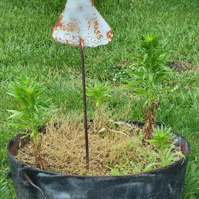 Cast Iron Planter