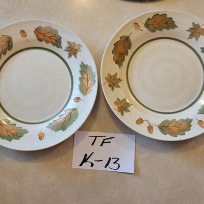 2 Dinner Plate Lot