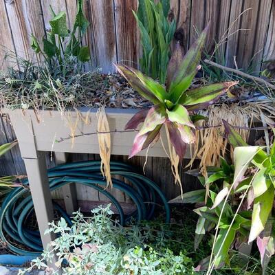 LOT 154  STANDING PLANTER BOX WITH A FEW PLANTS