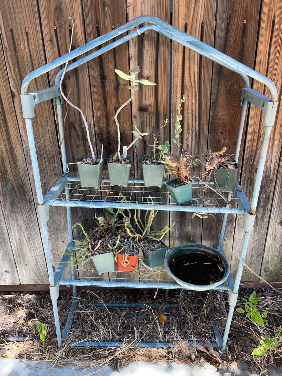 LOT 155 METAL PLANT RACK