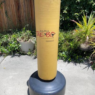 LOT 160  TAE BO WEIGHTED KICKING PUNCHING DUMMY