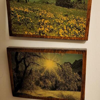 2 wood backed art pieces