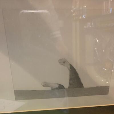 Fat cat black and white framed photo