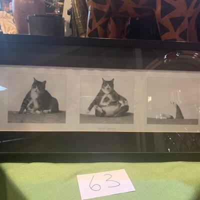 Fat cat black and white framed photo